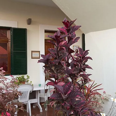 Apartamento Casa Alto Santo António Ponta do Sol  Exterior foto